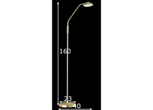 Настольная лампа Pool TW LED цена и информация | Торшеры | pigu.lt