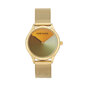Moteriškas laikrodis Anne Klein AK/3776MTGB, 891154429 цена и информация | Moteriški laikrodžiai | pigu.lt