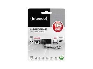 MEMORY DRIVE FLASH USB2 16GB/3524470 INTENSO kaina ir informacija | USB laikmenos | pigu.lt
