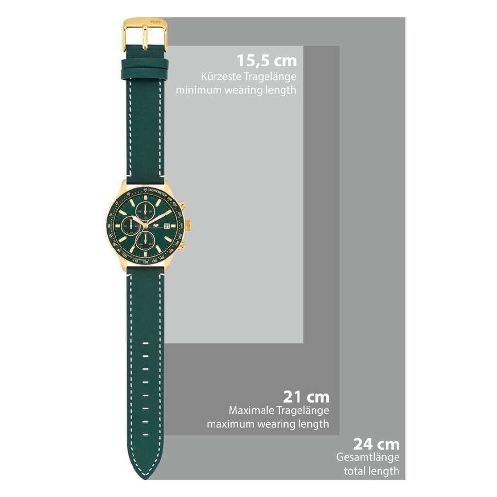 Vyriškas laikrodis Rhodenwald & Söhne 891159765 цена и информация | Vyriški laikrodžiai | pigu.lt