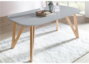 Valgomojo stalas 120 x 80 cm kaina ir informacija | Virtuvės ir valgomojo stalai, staliukai | pigu.lt