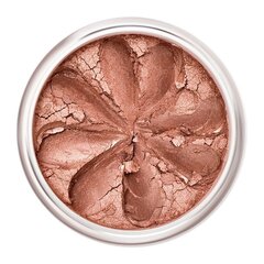 Mineraliniai skaistalai Lily Lolo Rosy Apple, 3,5 g цена и информация | Бронзеры (бронзаторы), румяна | pigu.lt