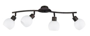 Trio потолочный светильник Freddy цена и информация | Потолочные светильники | pigu.lt