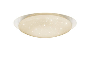 Потолочный светильник Led Frodo, 35 см, starlight белый 920051874 цена и информация | Потолочные светильники | pigu.lt