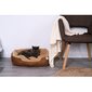 Dibea guolis šuniui Cozy Bed, S, 50x37 cm kaina ir informacija | Guoliai, pagalvėlės | pigu.lt