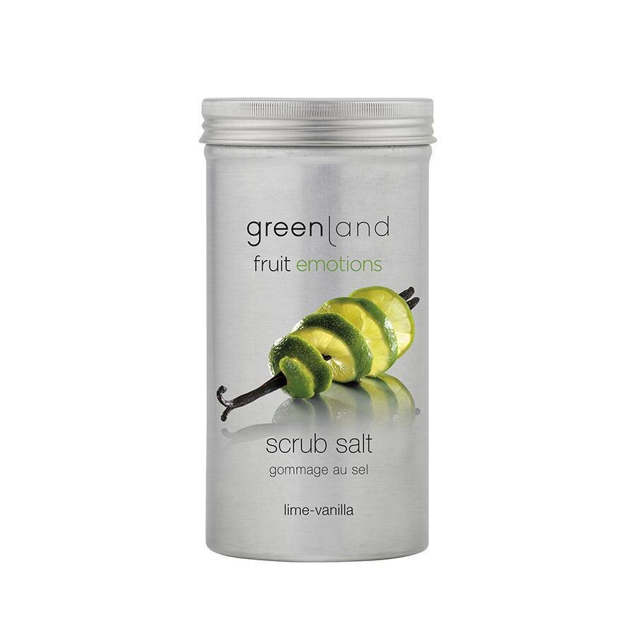 Druskos šveitiklis kūnui Greenland žalioji Lime Vanilla, 400 g цена и информация | Kūno šveitikliai | pigu.lt