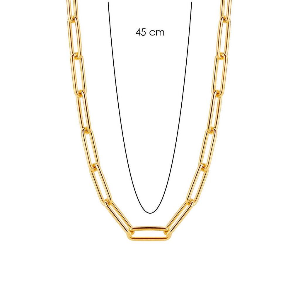 Grandinėlė moterims Ti Sento Milano 901013888 цена и информация | Kaklo papuošalai | pigu.lt