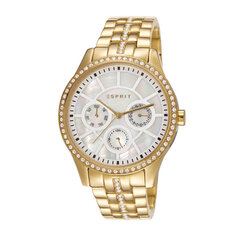 Laikrodis moteriškas Esprit Paradiso 901009854 kaina ir informacija | Moteriški laikrodžiai | pigu.lt