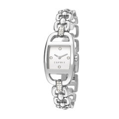 Laikrodis moteriškas Esprit Faye 901009910 kaina ir informacija | Moteriški laikrodžiai | pigu.lt