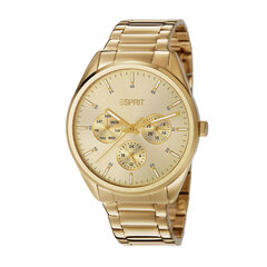 Laikrodis moteriškas Esprit Glandora 901009815 kaina ir informacija | Moteriški laikrodžiai | pigu.lt