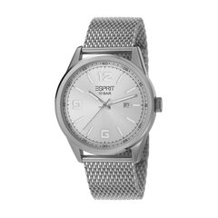 Мужские наручные часы Esprit Menlo Mesh 901009835 цена и информация | Мужские часы | pigu.lt