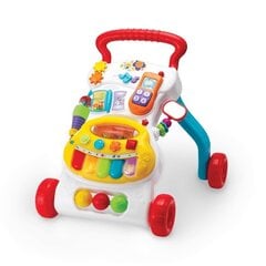 WinFun центр активности - помощь при ходьбе, со звуком и светом art.0804 цена и информация | Игрушки для малышей | pigu.lt