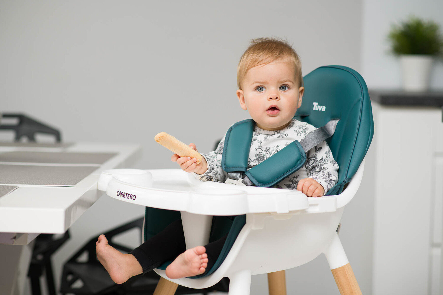Maitinimo kėdutė kūdikiams Caretero Tuva 2 in 1, smėlio spalvos kaina ir informacija | Maitinimo kėdutės | pigu.lt