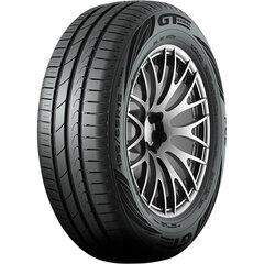 GT Radial 205/55 17 95W kaina ir informacija | Vasarinės padangos | pigu.lt