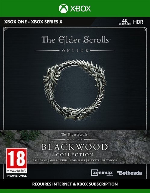 The Elder Scrolls, Xbox One kaina ir informacija | Kompiuteriniai žaidimai | pigu.lt