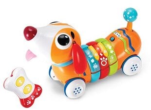 Собачка с пультом дистанционного управления, со звуком и светом цена и информация | Развивающие игрушки | pigu.lt