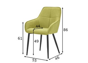 Обеденный стул 45 x 40 x 77 cm Зеленый цена и информация | Стулья для кухни и столовой | pigu.lt