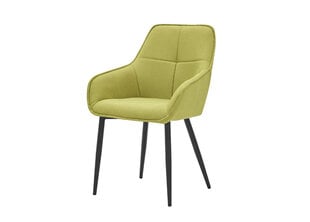 Обеденный стул 45 x 40 x 77 cm Зеленый цена и информация | Стулья для кухни и столовой | pigu.lt