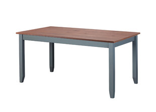 Стол Luzerna, 90x160 см цена и информация | Кухонные и обеденные столы | pigu.lt