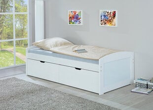 Einar lova, 90 x 200 cm kaina ir informacija | Lovos | pigu.lt