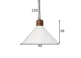 Globen Lighting pakabinamas šviestuvas Linnea 40 kaina ir informacija | Pakabinami šviestuvai | pigu.lt