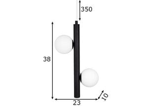 Globen Lighting pakabinamas šviestuvas Pearl цена и информация | Люстры | pigu.lt
