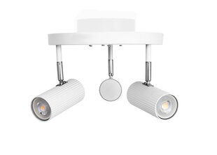 Потолочный светильник Globen Lighting цена и информация | Потолочные светильники | pigu.lt