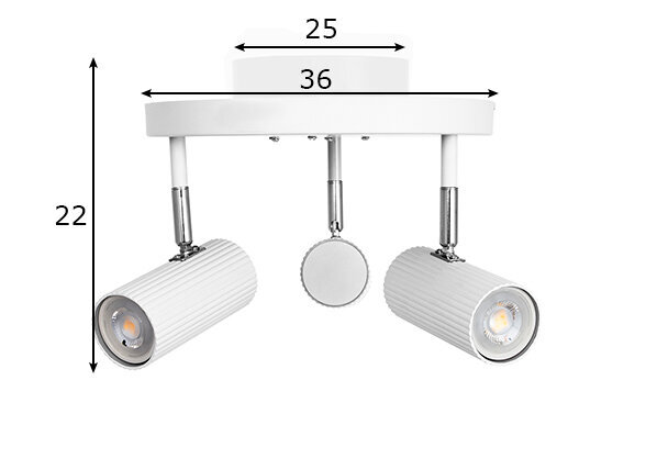 Globen Lighting lubinis šviestuvas kaina ir informacija | Lubiniai šviestuvai | pigu.lt