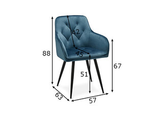 Valgomojo kėdžių komplektas Nadja, 2 vnt., šviesiai mėlynas kaina ir informacija | Virtuvės ir valgomojo kėdės | pigu.lt