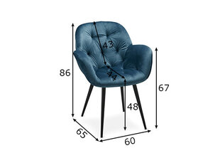 Набор столовых стульев Salina, 2шт, синий цена и информация | Стулья для кухни и столовой | pigu.lt