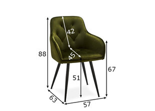 Valgomojo kėdžių komplektas Nadja, 2 vnt., alyvuogių žalia kaina ir informacija | Virtuvės ir valgomojo kėdės | pigu.lt