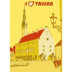 Piešimo rinkinys Tallinas 1 , 15x20 kaina ir informacija | Tapyba pagal skaičius | pigu.lt