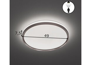 Fischer & Honsel lubinis šviestuvas Jaso kaina ir informacija | Lubiniai šviestuvai | pigu.lt