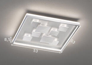 Светодиодный потолочный светильник Fischer & Honsel Rico LED, 891099648 цена и информация | Потолочные светильники | pigu.lt