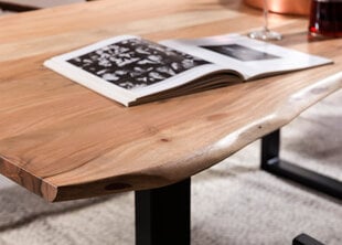 Обеденный стол Tische, 200x100 цена и информация | Кухонные и обеденные столы | pigu.lt