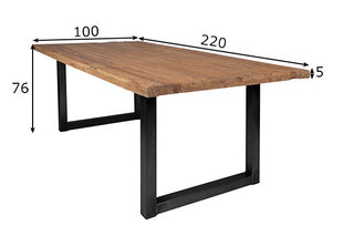 Valgomojo stalas Tische, 220x100 kaina ir informacija | Valgomojo komplektai | pigu.lt