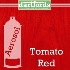 Aerozolis Tomato Red kaina ir informacija | Priedai muzikos instrumentams | pigu.lt