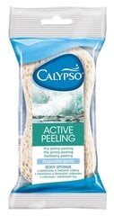 Губка для очистки Spontex Sponge Active Peeling, 1 шт. цена и информация | Масла, гели для душа | pigu.lt