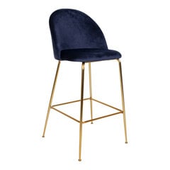2-ų kėdžių komplektas Lausanne, mėlynas kaina ir informacija | Virtuvės ir valgomojo kėdės | pigu.lt