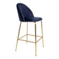 2-ų kėdžių komplektas Lausanne, mėlynas kaina ir informacija | Virtuvės ir valgomojo kėdės | pigu.lt