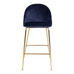 Комплект из 2 стульев Lausanne, синий цена и информация | Стулья для кухни и столовой | pigu.lt