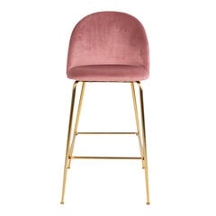 2-ų kėdžių komplektas Lausanne, rožinė kaina ir informacija | Virtuvės ir valgomojo kėdės | pigu.lt