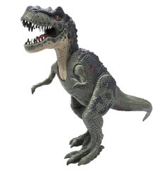 Rinkinys Dino Valley 6 Interactive T-Rex Chap Mei, 542051 kaina ir informacija | Žaislai berniukams | pigu.lt