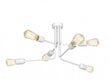 Aldex lubinis šviestuvas Ezop kaina ir informacija | Lubiniai šviestuvai | pigu.lt