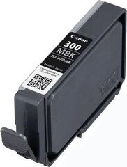 Canon 4192C001, черный цена и информация | Картриджи для струйных принтеров | pigu.lt