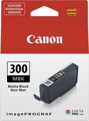 Canon 4192C001, juoda kaina ir informacija | Kasetės rašaliniams spausdintuvams | pigu.lt