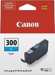 Canon 4194C001, mėlyna kaina ir informacija | Kasetės rašaliniams spausdintuvams | pigu.lt