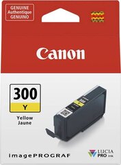 Canon 4196C001, желтый цена и информация | Картриджи для струйных принтеров | pigu.lt