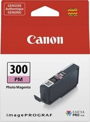 Canon 4198C001, rožinė (Photo Magenta) kaina ir informacija | Kasetės rašaliniams spausdintuvams | pigu.lt