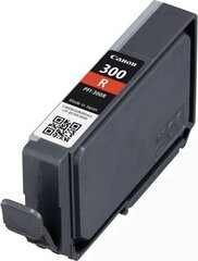 Canon 4199C001, красный цена и информация | Картриджи для струйных принтеров | pigu.lt